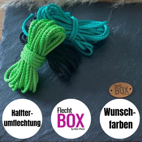 FlechtBOX - Halfterumflechtung