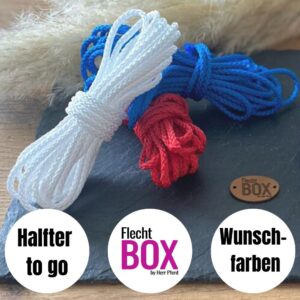 FlechtBOX - Halfter to go