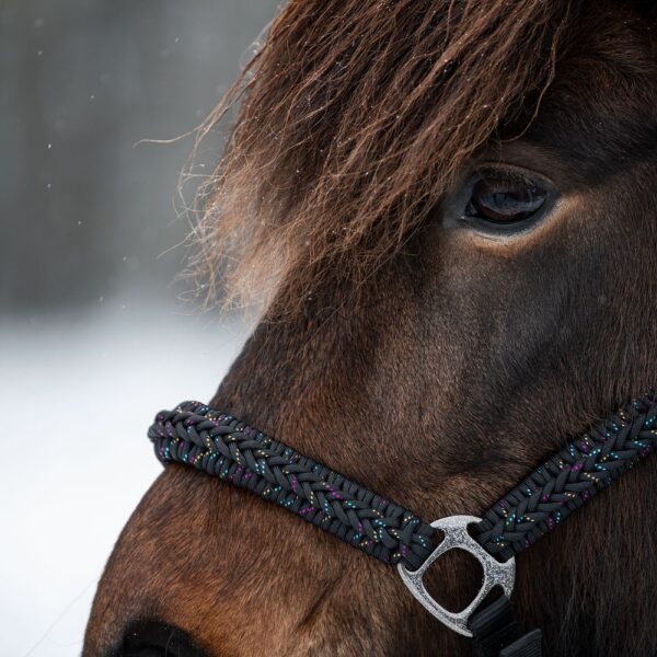 Black Rainbow - Halfter und Strick – Bild 5